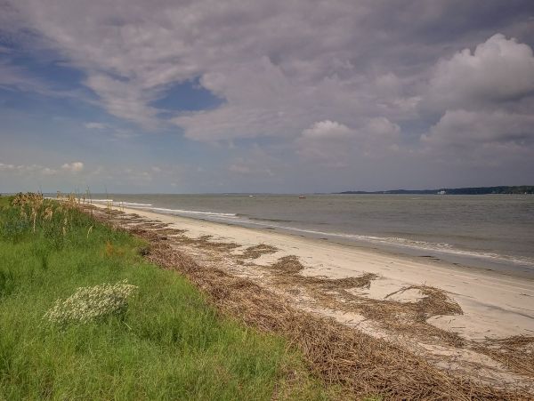 Hilton Head Condo 993707