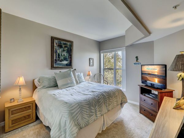 Hilton Head Condo 993734