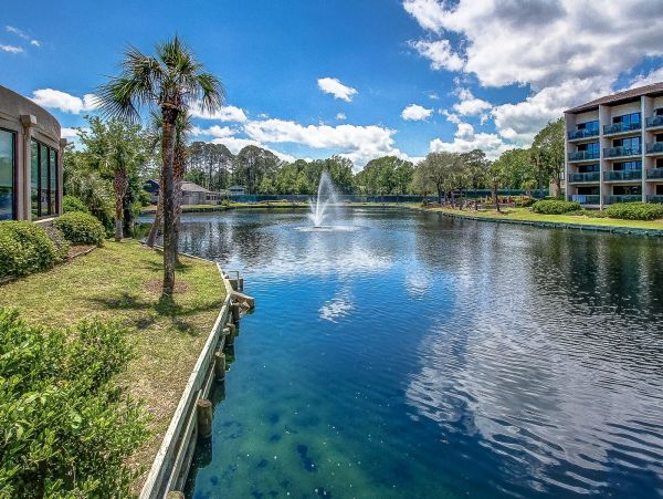 Hilton Head Condo 993747