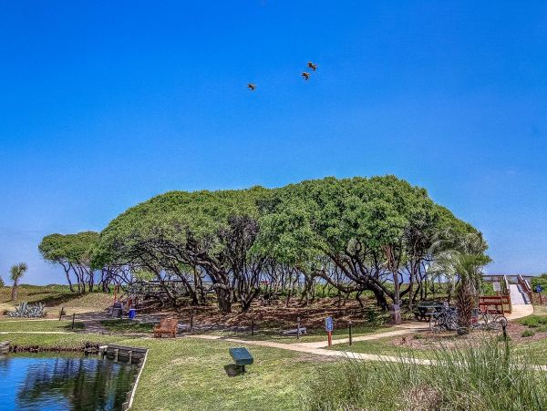 Hilton Head Condo 993747