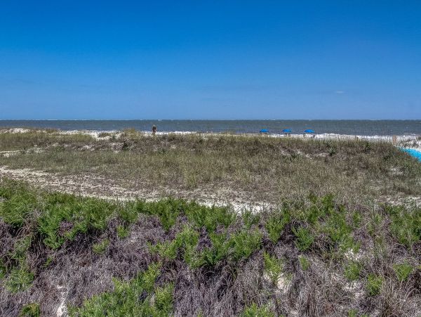 Hilton Head Condo 993747