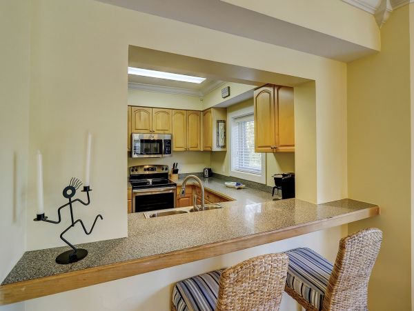 Hilton Head Condo 993767