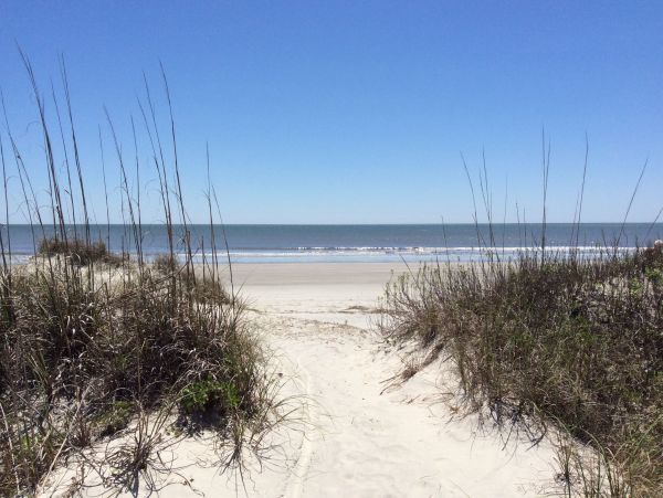 Hilton Head Home 993778