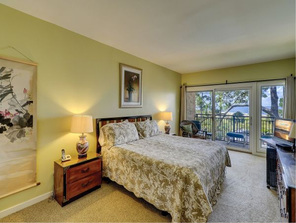 Hilton Head Condo 993779