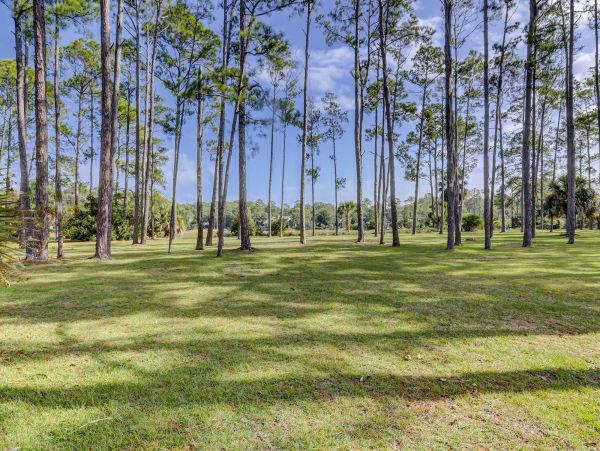 Hilton Head Home 993781