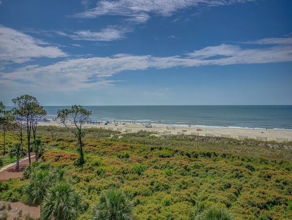 Hilton Head Condo 993800