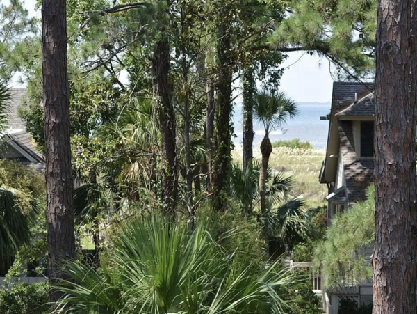 Sea Pines luxury Retreat Fabulous Interior & Beach Access