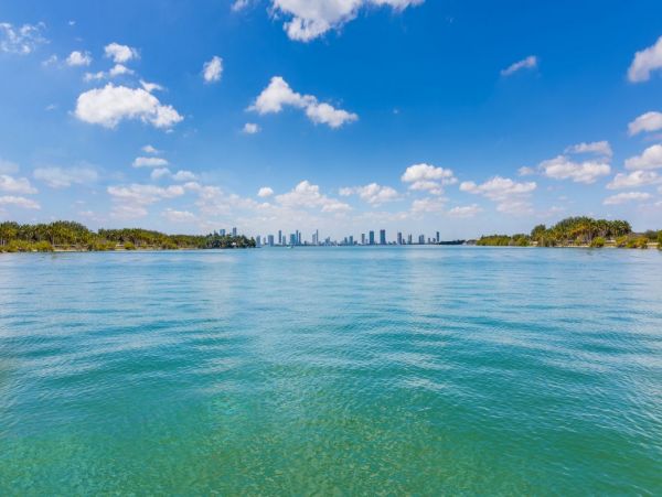 Miami Beach Home 993857