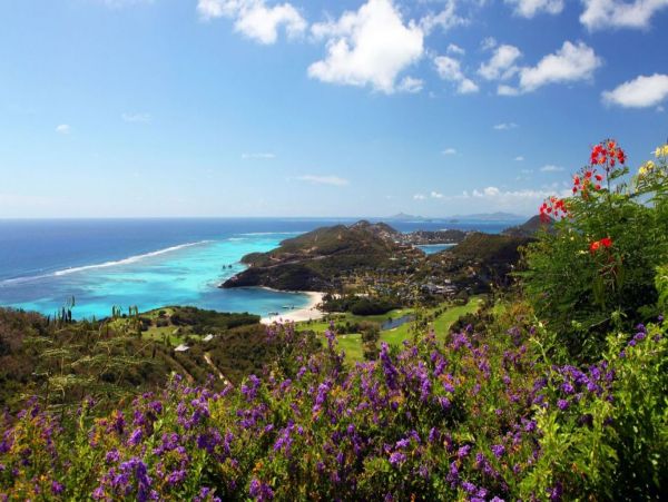 Mustique Saint Vincent And The Grenadines Home 993864