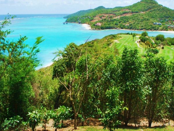 Mustique Saint Vincent And The Grenadines Home 993874