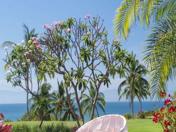 Puerto Vallarta Punta Mita Home 993908