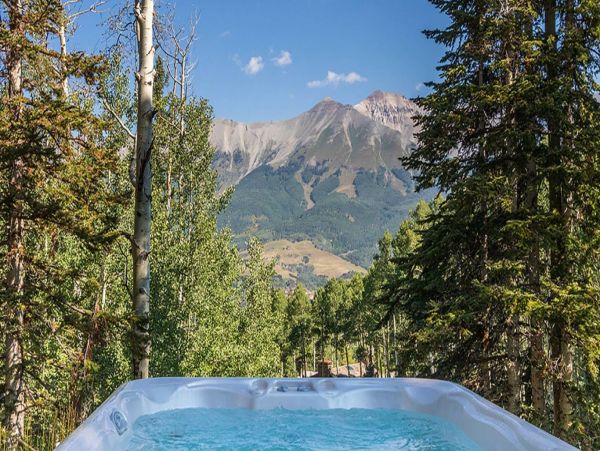 Telluride Home 993961
