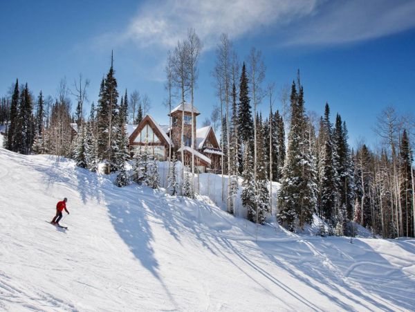Telluride Home 993961