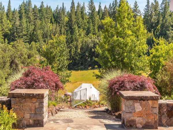Napa Valley Home 993967
