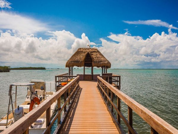 Tulum Home 993971