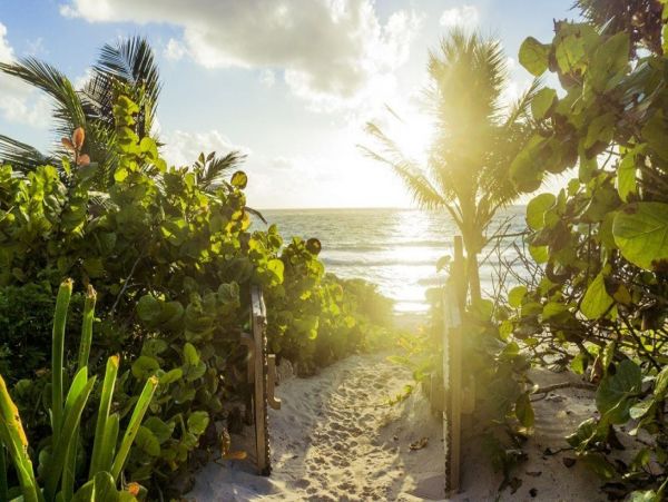 Tulum Home 993974