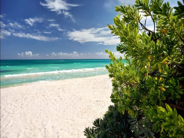 Tulum Home 993976