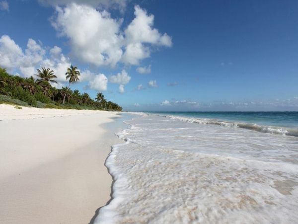 Tulum Home 993977