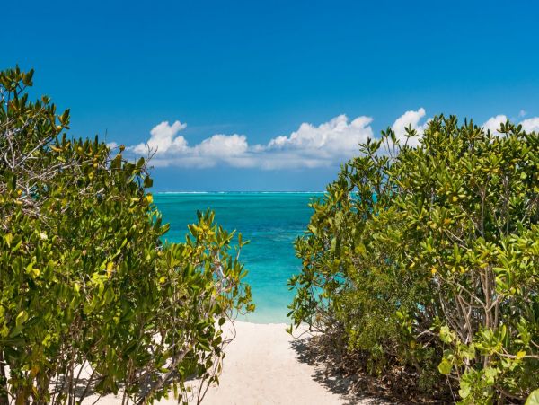 Turks And Caicos Home 994006