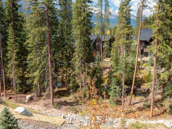 Breckenridge Home 994135