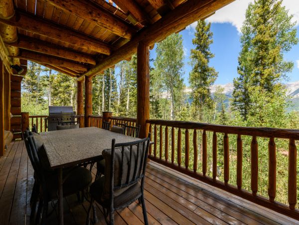 Telluride Home 994137