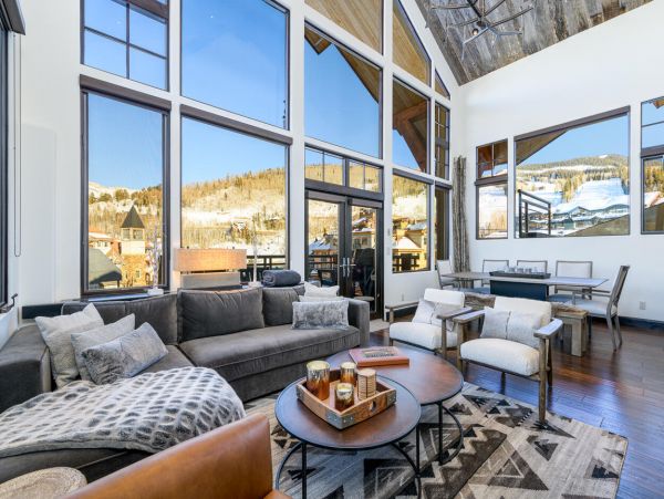 Telluride Condo 994138