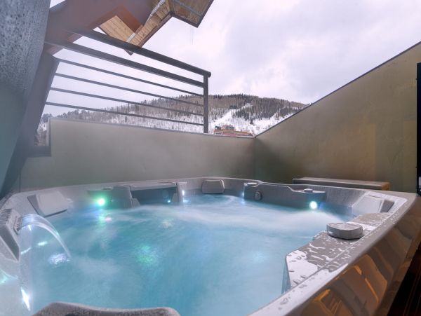 Telluride Condo 994138