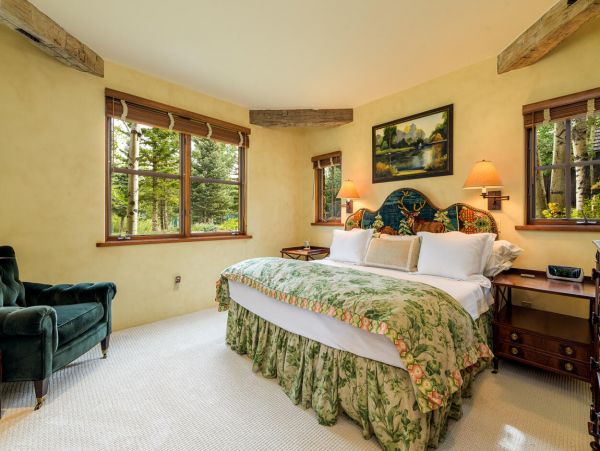 Telluride Home 994139