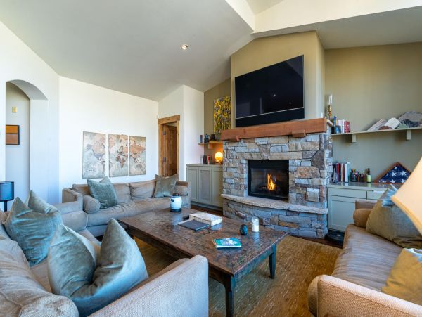 Telluride Condo 994141