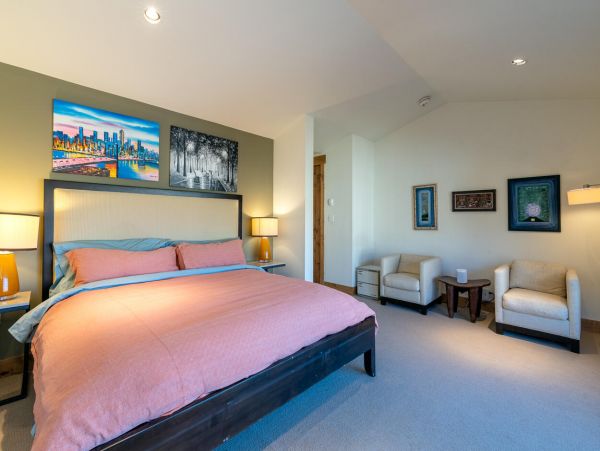 Telluride Condo 994141