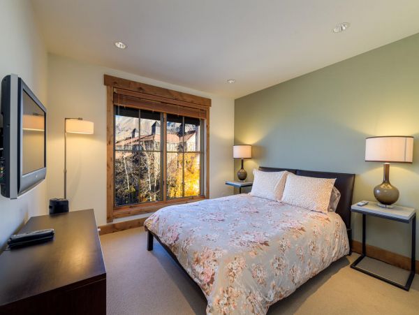 Telluride Condo 994141