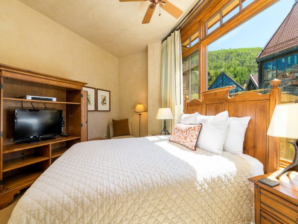 Telluride Condo 994143