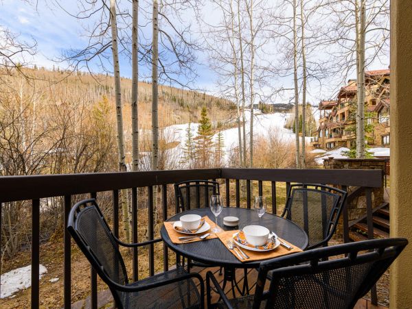 Telluride Condo 994144