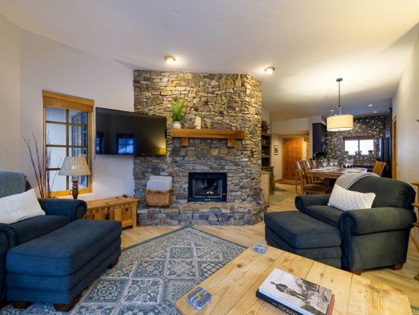 Telluride Condo 994146