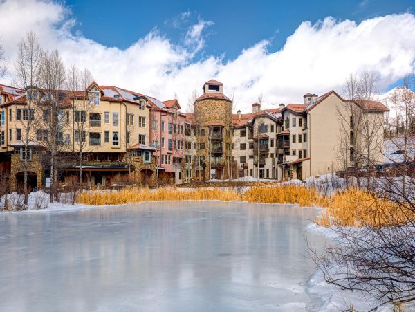 Telluride Condo 994146