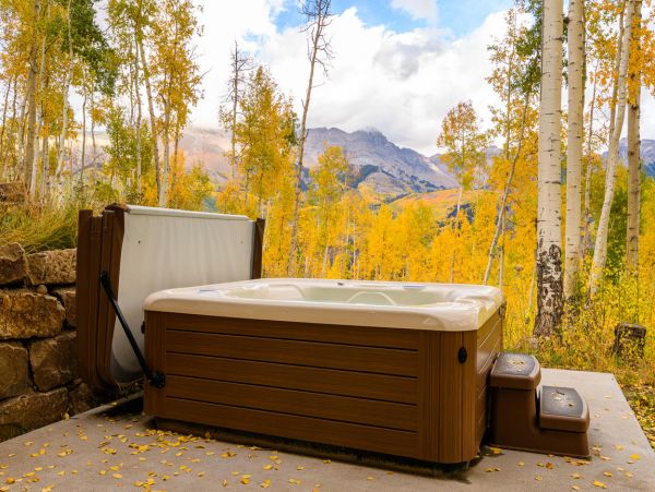 Telluride Home 994147