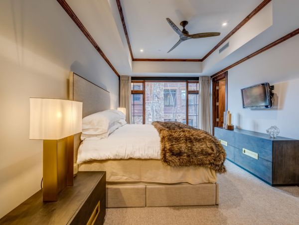 Telluride Condo 994150