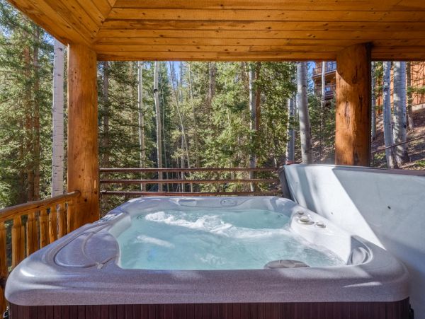 Telluride Home 994152
