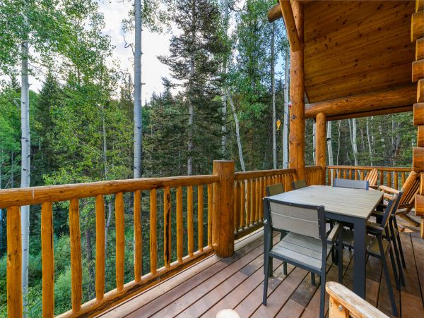 Telluride Home 994152
