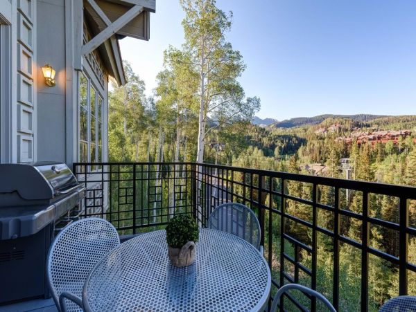 Telluride Home 994155