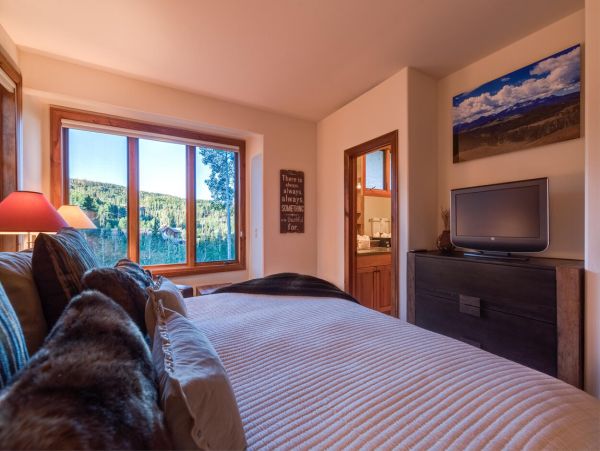 Telluride Home 994155