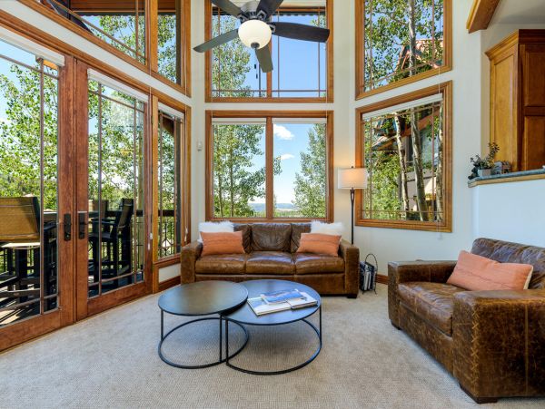 Telluride Home 994157
