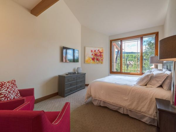 Telluride Home 994157