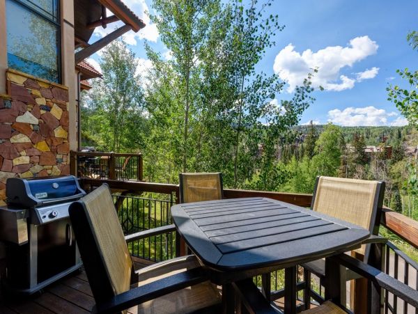 Telluride Home 994157