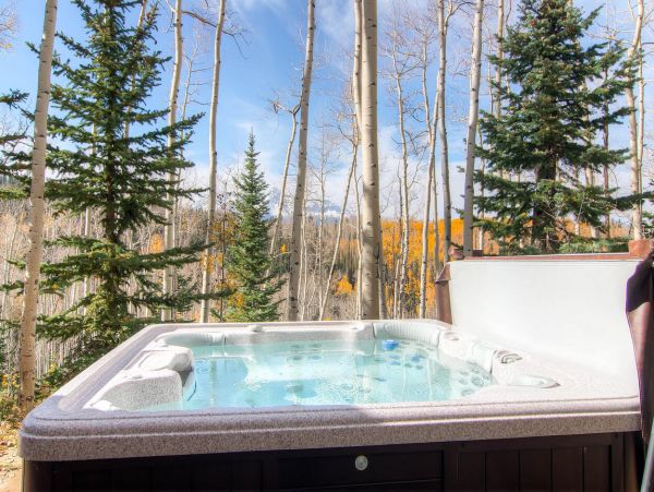 Telluride Home 994163