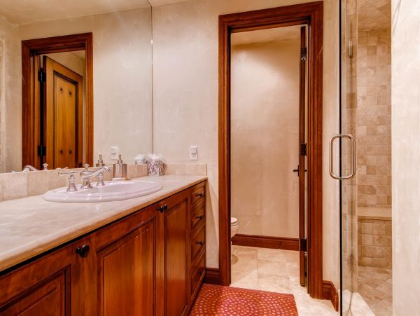 Telluride Home 994166