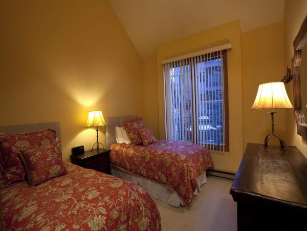 Telluride Condo 994167
