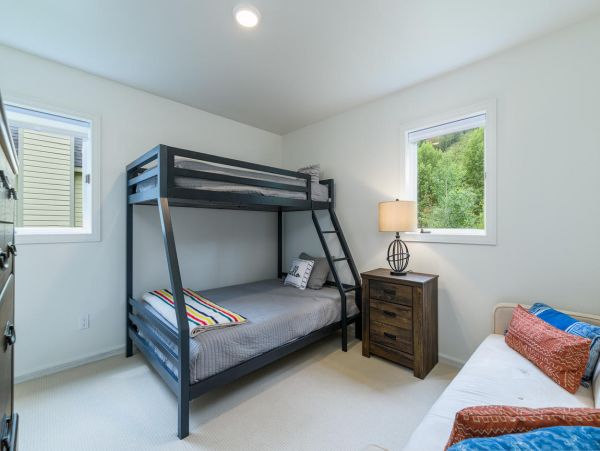 Telluride Home 994168