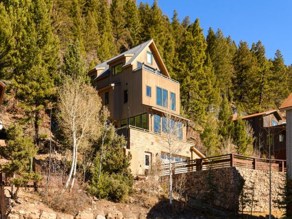 Telluride Home 994170