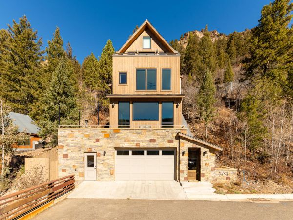 Telluride Home 994170